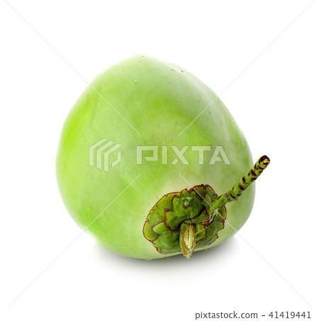 water drop green coconut isolated on white  41419441