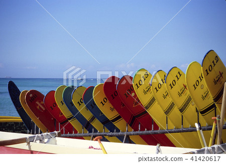 Waikiki Surfing Waikiki Surfing 41420617
