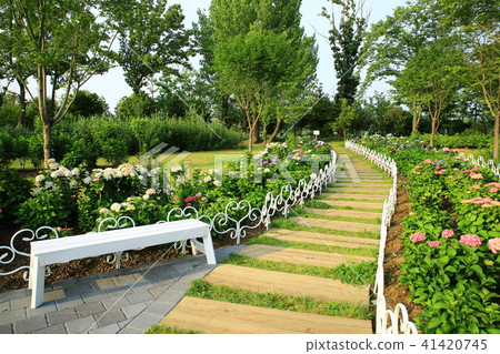 NIS可以， 41420745