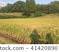 countryside 41420890