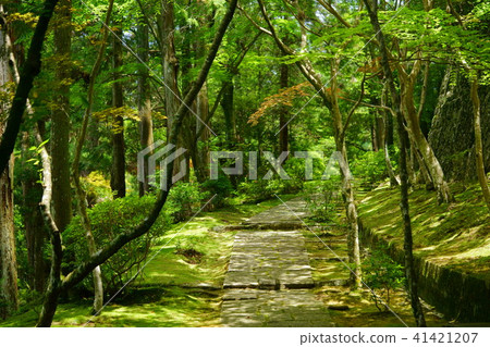 Nara · Rei Shrine (Ryosenji) approaching path Nara · Rei Shrine (Ryosenji) approaching path 41421207