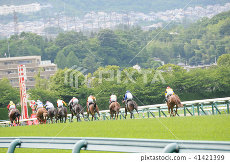 Horse race Horse race 41421399
