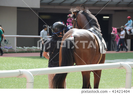 圍場景觀 41421404