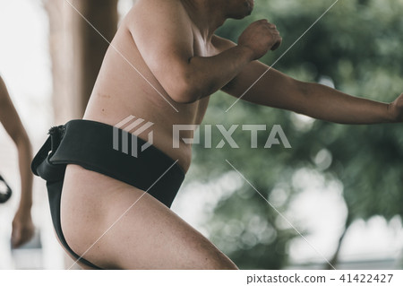 sumo, sumo wrestling, training 41422427