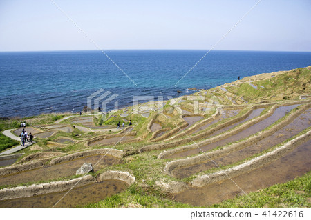 Shirahama Senjita Shirahama Senjita 41422616