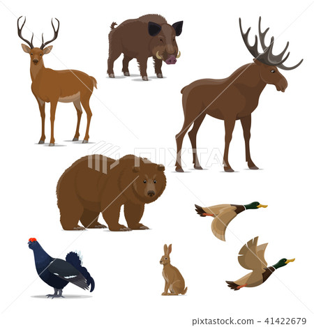 Wild forest animal and bird icon of hunting sport Wild forest animal and bird icon of hunting sport 41422679