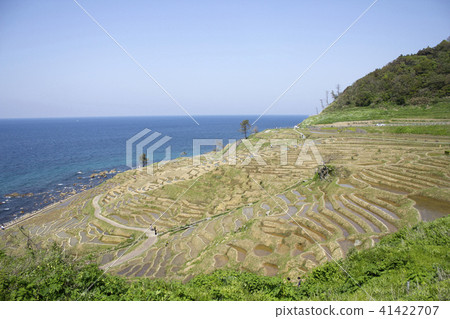 A thousand sheets A thousand sheets 41422707