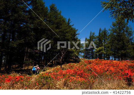 Takahara Hiking 41422756
