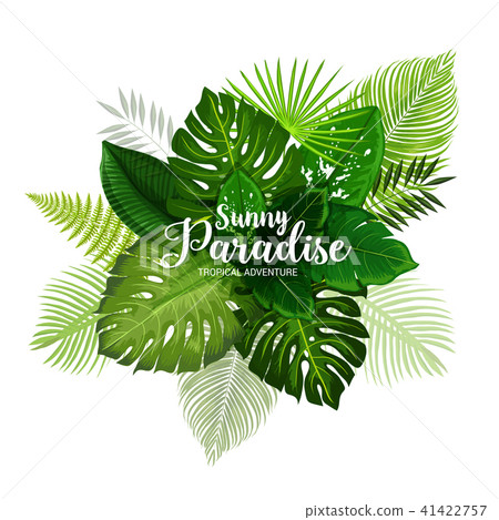 Summer tropical poster with green leaf of palm 41422757