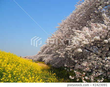 Kumagaya Fortress 41423091