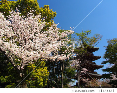 Ueno Park Ueno Park 41423381