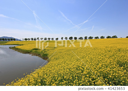 Country of fairytale! Country of fairytale! 41423653