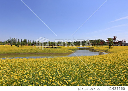 Country of fairytale! Country of fairytale! 41423660