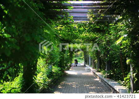 Country of fairytale! Country of fairytale! 41423721
