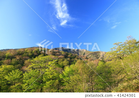 Road to the top of Mt. Ikeumi mountain over fresh green Road to the top of Mt. Ikeumi mountain over fresh green 41424301