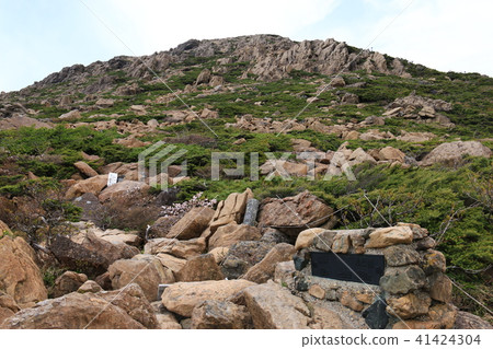 通往Hayatei山峰的道路 41424304