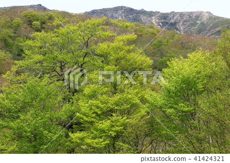 山湖上的山峰 41424321