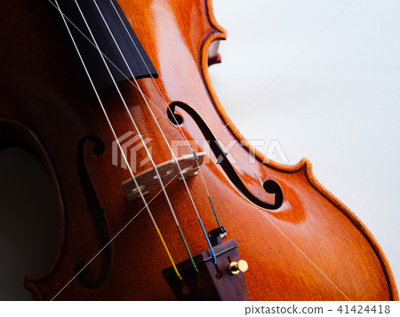  Violin 41424418