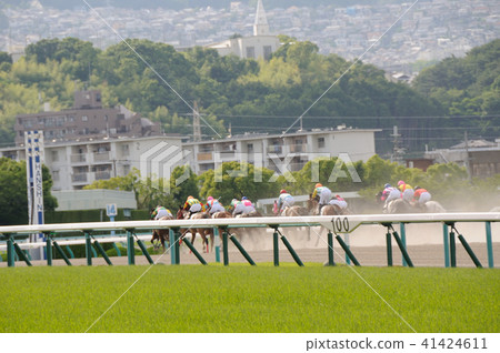 Horse race Horse race 41424611