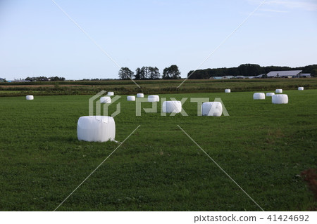 Scenery with grass roll _ Hokkaido Scenery with grass roll _ Hokkaido 41424692