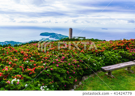 （神奈川縣）Yugawara Hoshigayama Park Satsuki no Tomo 41424779