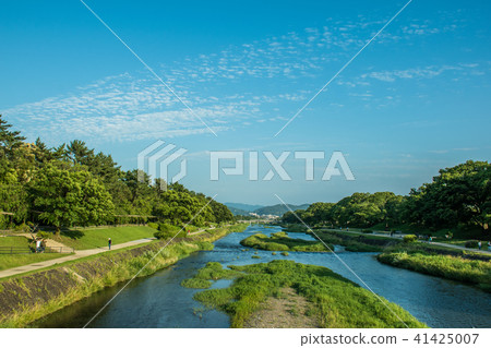 Kyoto Kamo River 41425007