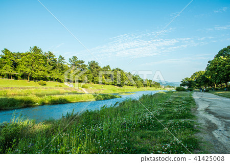 Kyoto Kamo River 41425008