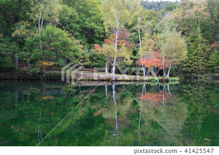 Furano Autumn in Torigami Park 41425547