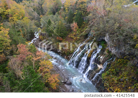 Biei white beard waterfall 41425548