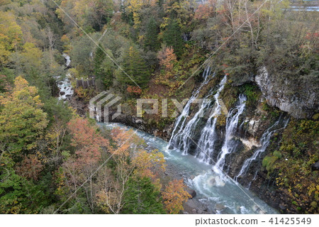 Biei white beard waterfall 41425549