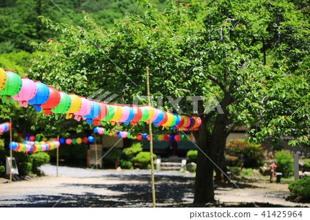 Spring in the mountains Spring in the mountains 41425964