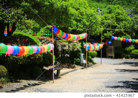 Spring in the mountains Spring in the mountains 41425967