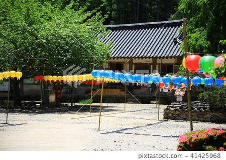 Spring in the mountains Spring in the mountains 41425968