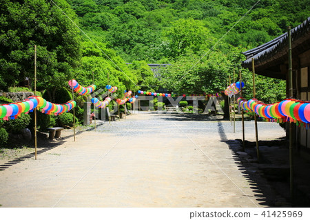 Spring in the mountains Spring in the mountains 41425969