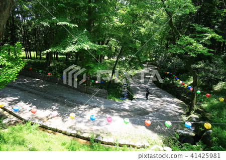 Spring in the mountains 41425981