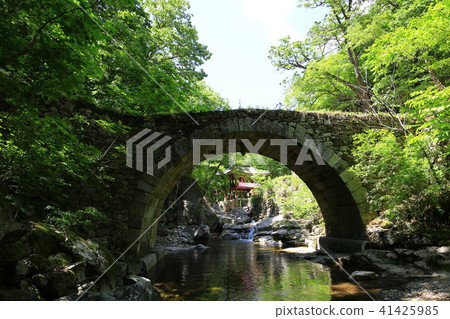 Spring in the mountains Spring in the mountains 41425985