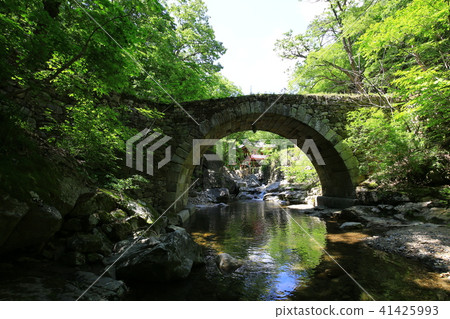 Spring in the mountains 41425993