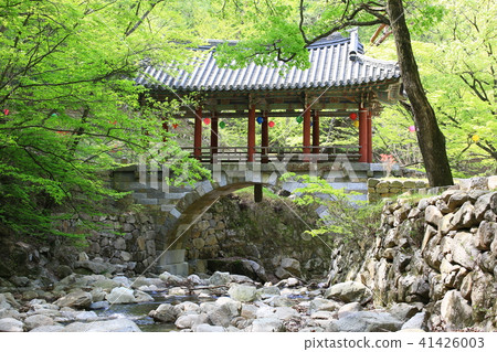 Spring in the mountains 41426003