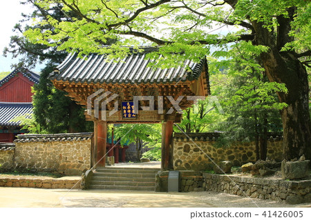 Spring in the mountains Spring in the mountains 41426005