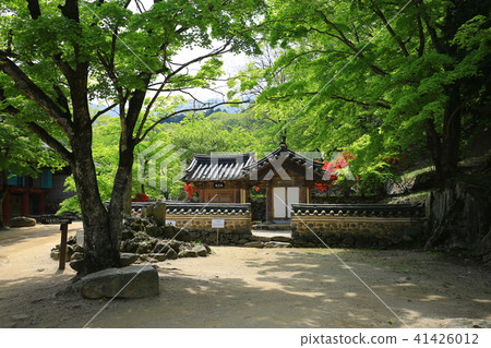 Spring in the mountains Spring in the mountains 41426012