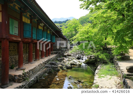 Spring in the mountains 41426016