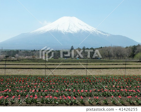 Japanese landscape 41426255