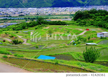 Terraced rice with three major Japanese car windows Terraced rice with three major Japanese car windows 41426361