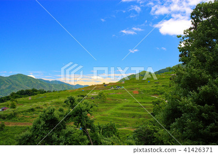 與三個主要日本車窗的梯田 41426371