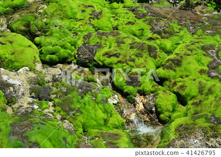 Chabo Mokeke Park 41426795
