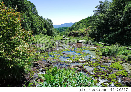 Chabo Mokeke Park 41426817