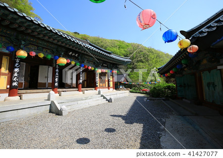 Puncture cancer 41427077