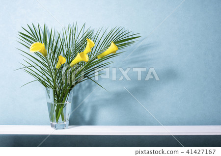 Shelf and blue wall 41427167