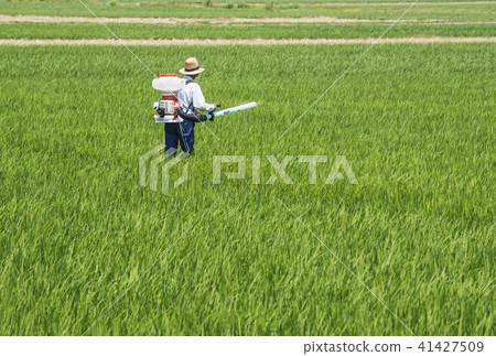Agricultural workers sowing agricultural image material 41427509