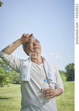 senior senior 41428021